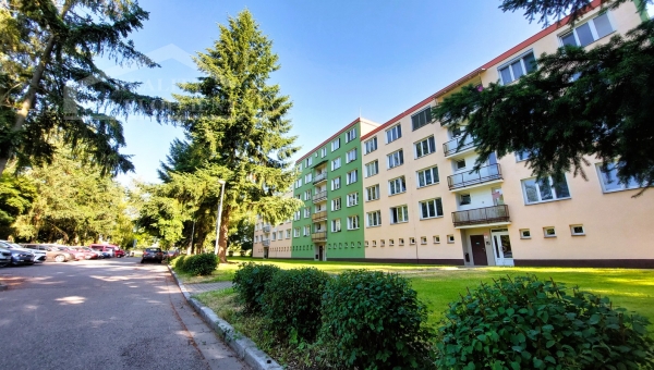 Pronájem Byt 3+1 s balkonem České Budějovice - PRONAJATO